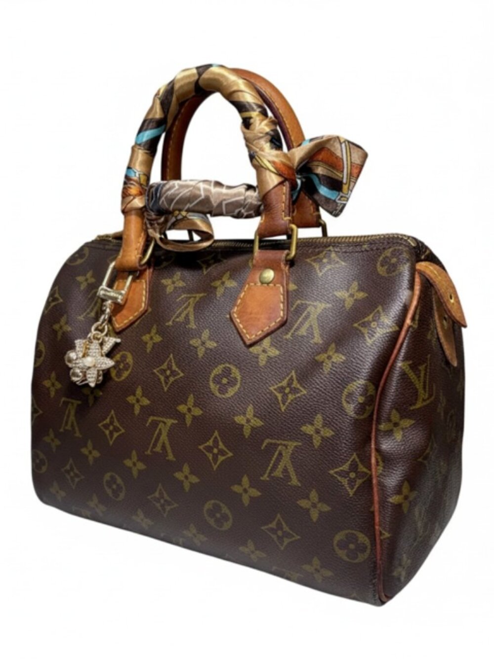 Louis Vuitton Speedy 25 Top Handle